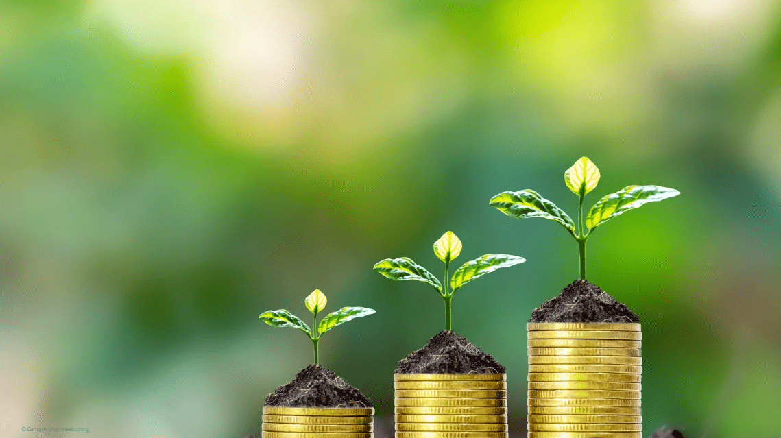 3 Pflanzen, die auf Geldstapeln sitzen.