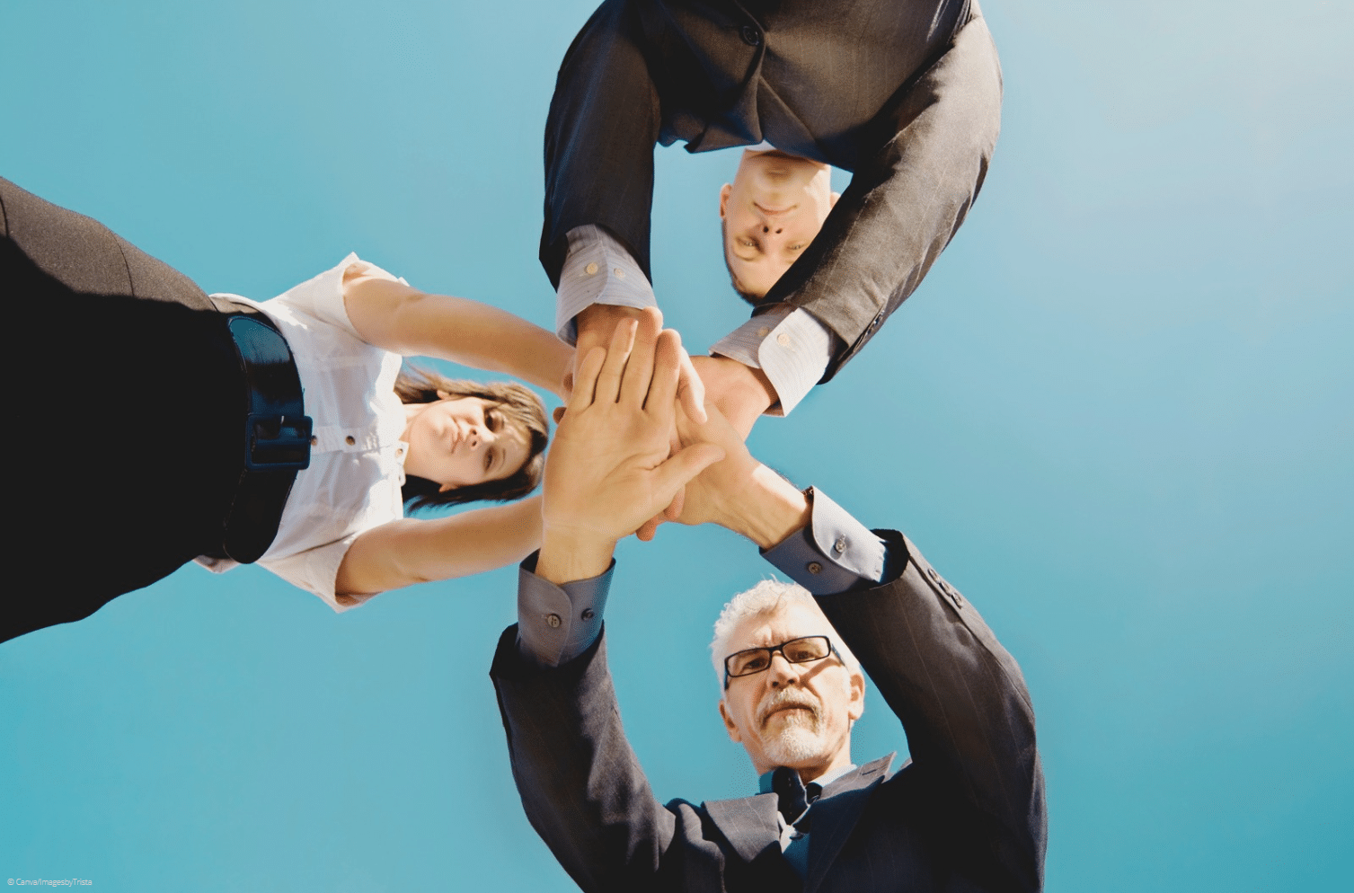 © Canva/ImagesbyTrista