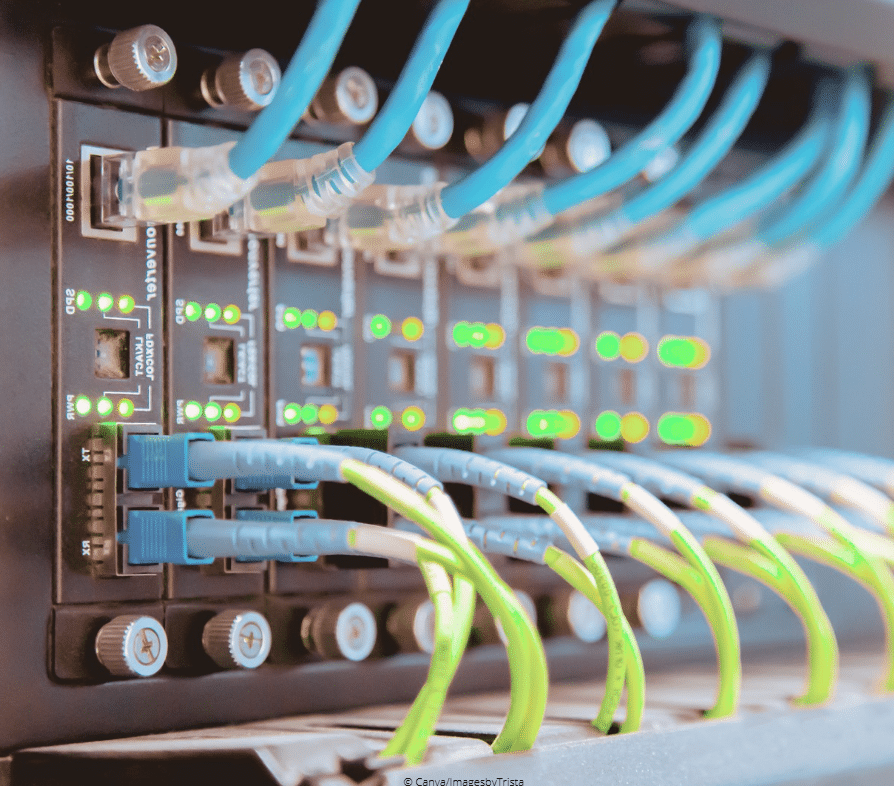 © Canva/A stockphoto/Getty Images Pro